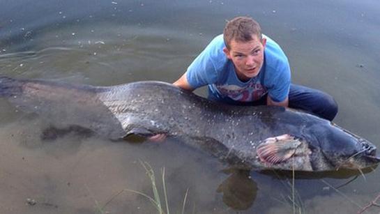 British Man Catches 144-Pound Wels Catfish, Breaks Record