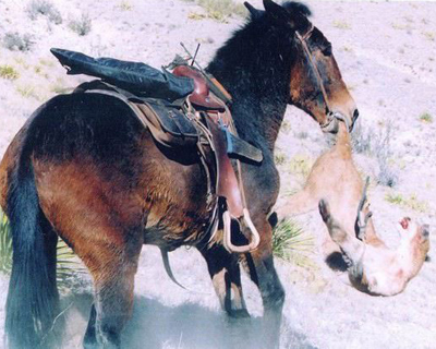 www.outdoorlife.com