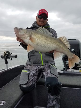 Lake Erie Walleye Fishing Set for Banner Year