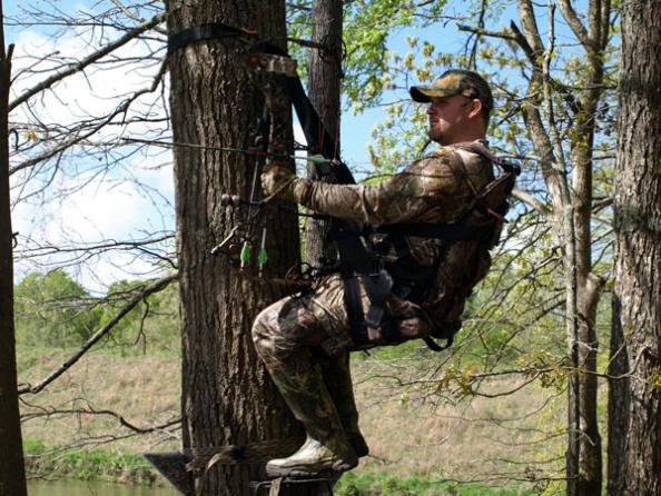 Guido’s Web: Safest Treestand on the Market?