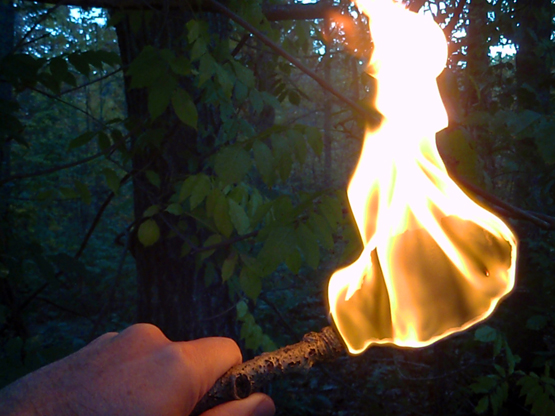 Survival Skills: How To Make A Torch