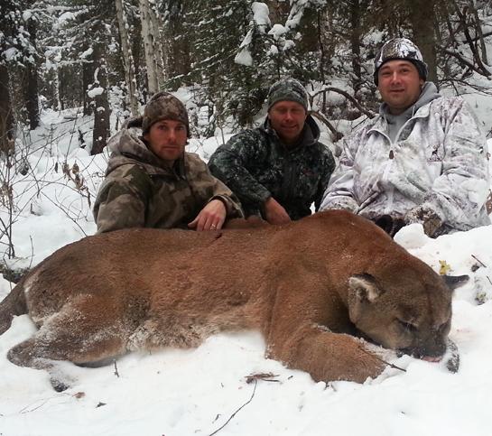 The True Story Behind Viral Monster Mountain Lion Photos