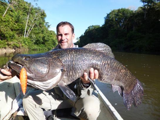Monster Fish: Potential World-Record Trahira Caught in Suriname