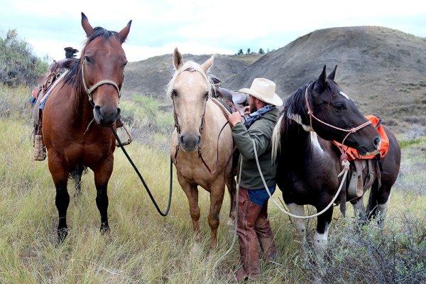 Everything You Need to Know About Hunting with Horses