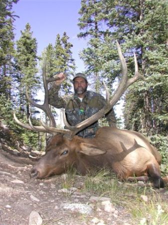 The Truth About Elk Hunting