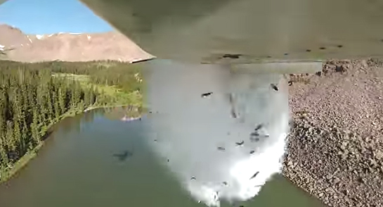Video: Utah Officials Restock Remote Lakes by Plane