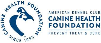 Hunting Dogs and the AKC Canine Health Foundation