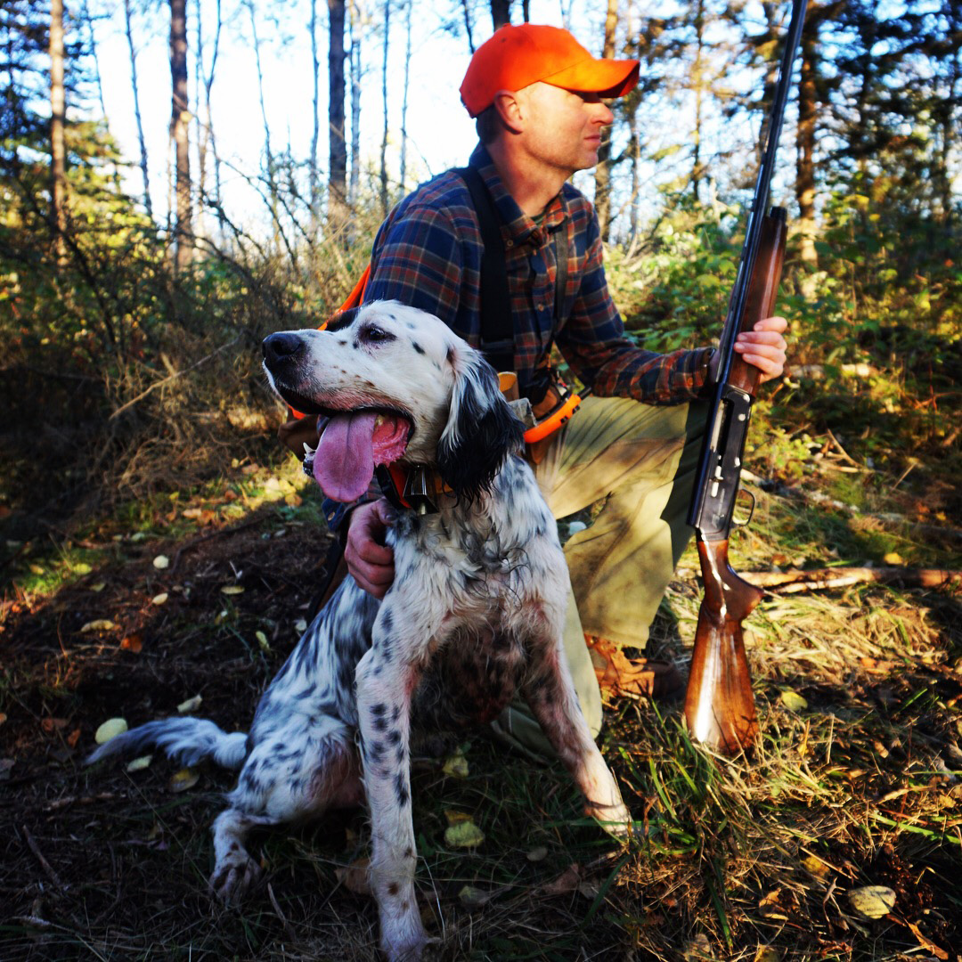 hunter and grouse hunting dog
