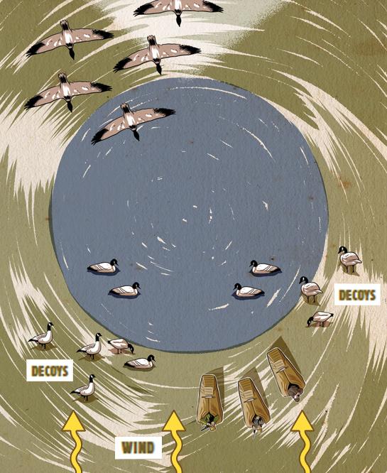 Goose Hunting How to Set Up on EarlySeason Honkers