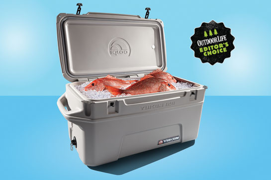 httpswww.outdoorlife.comsitesoutdoorlife.comfilesimport2014importBlogPostembed2014cooler1.jpg