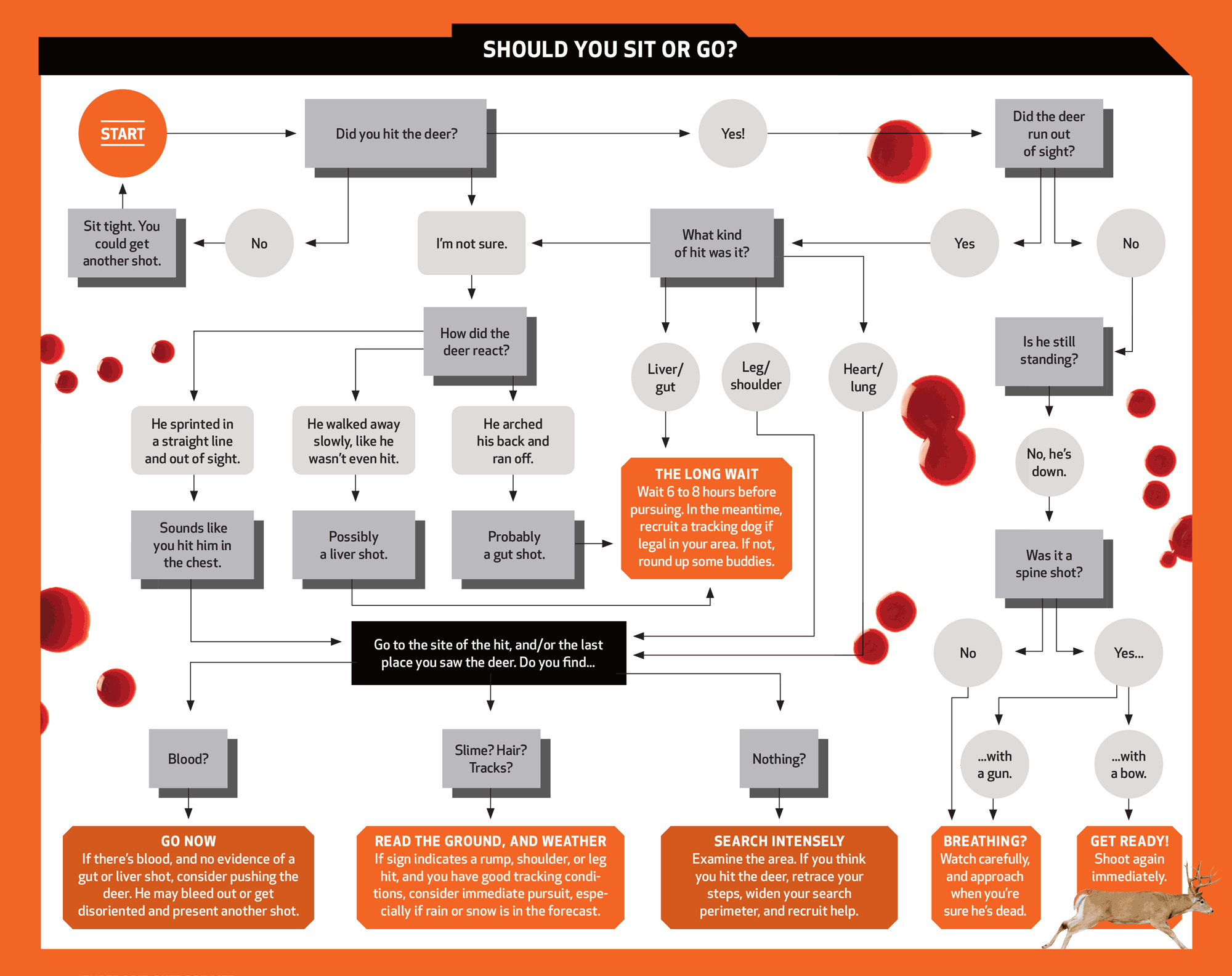 Sit or Go Flow Chart