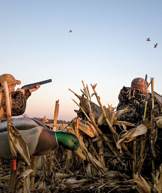Minimalist Waterfowler: How to Take More Ducks and Geese With Less Gear