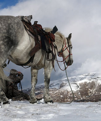 British Columbia Backcountry: The Horseback Caribou Hunt