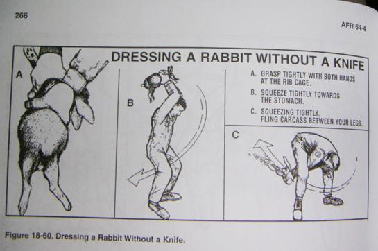 Tips from the Air Force: How to Field Dress a Rabbit Without a Knife