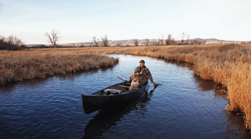 Tips and Tactics for Duck Hunting Rivers