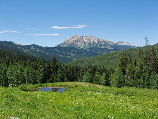 Public Land: Hunting and Fishing in Colorado