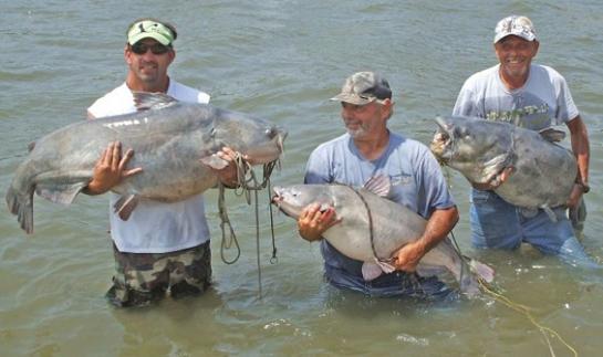 South Dakota Angler Catches Potential State Record Blue Catfish