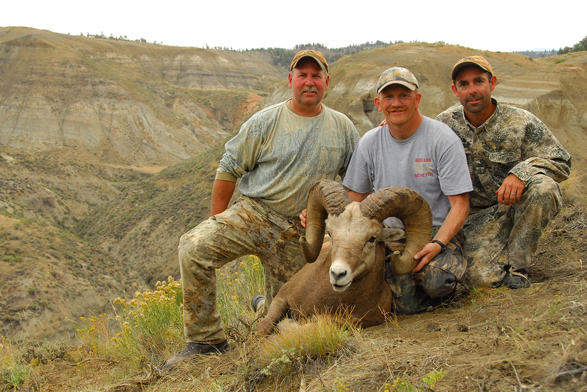 bighorn ram from national monument
