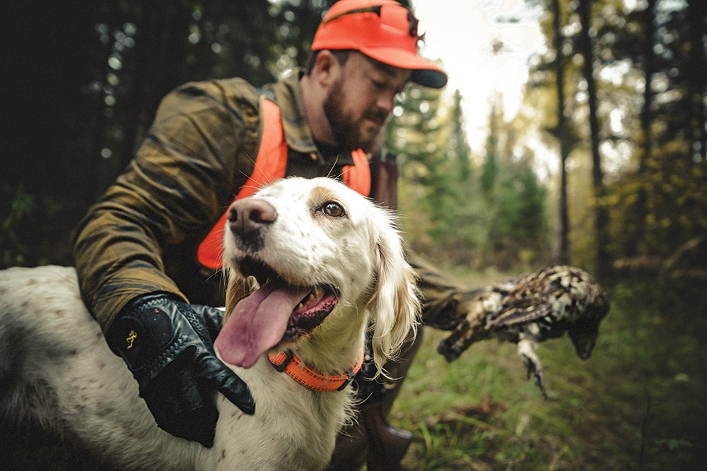 happy dog after hunting ruffed grouse