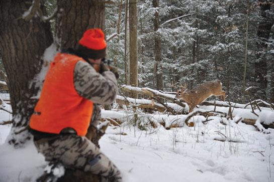 winter deer hunt