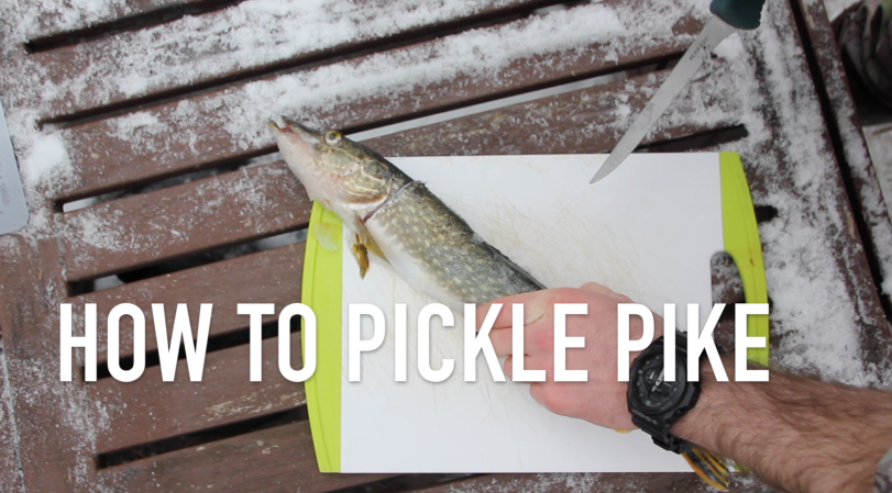 Recipe: How to Pickle Northern Pike