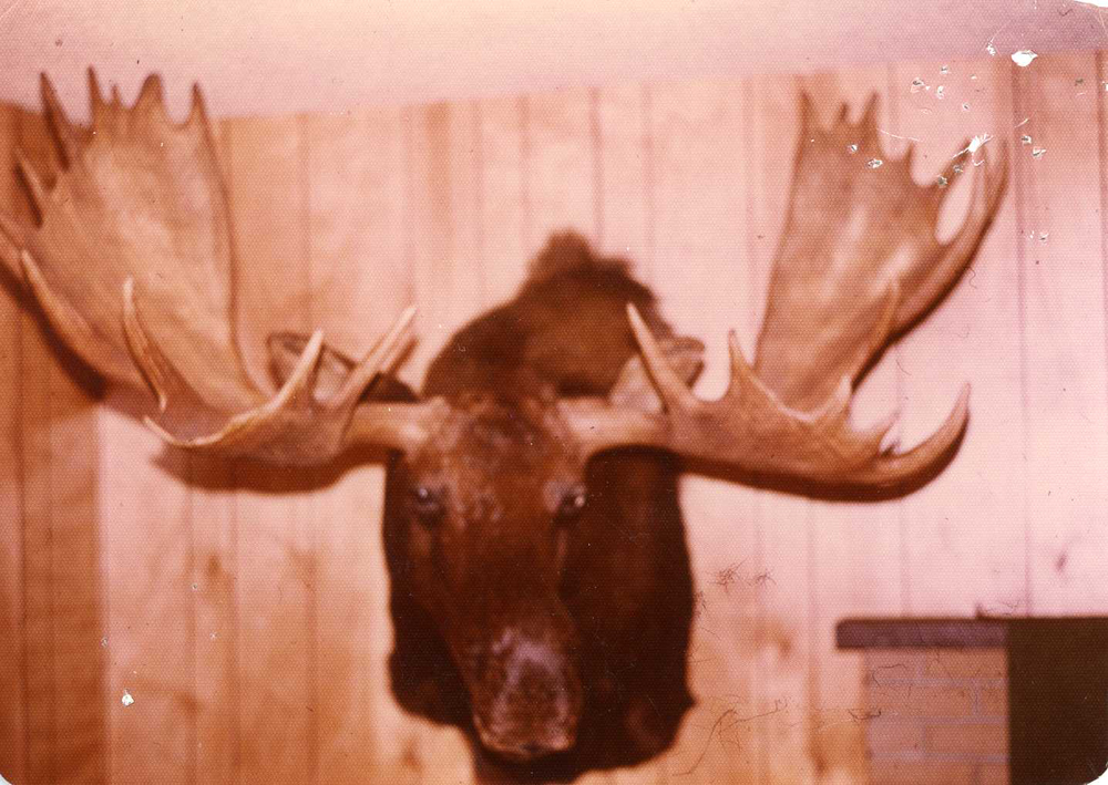 record Canada moose roger j ahern