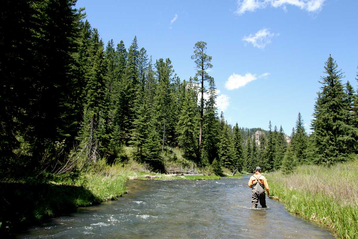 spearfish canyon fly fishing