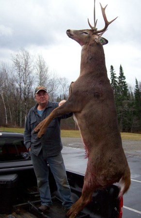 Whitetail Deer: Maine Hunter Bags 274-Pound Buck