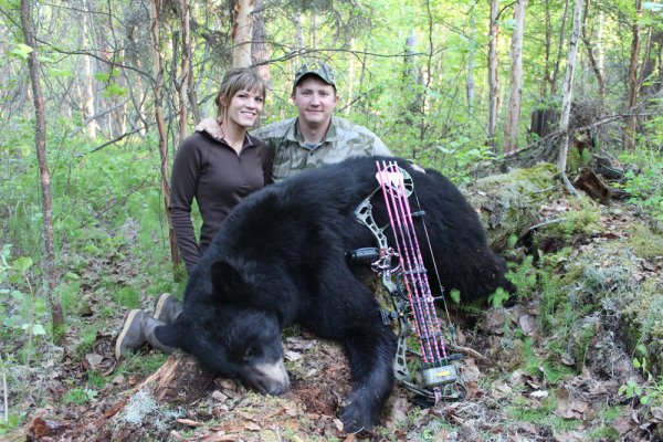 10 Myths About Hunting Bears Over Bait