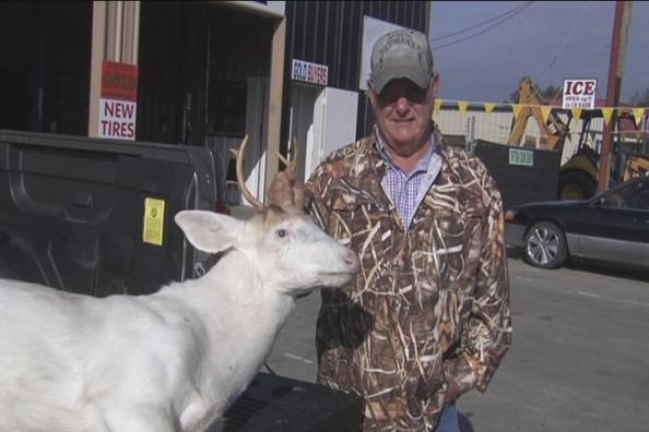 Georgia Hunter Takes Albino Whitetail Deer