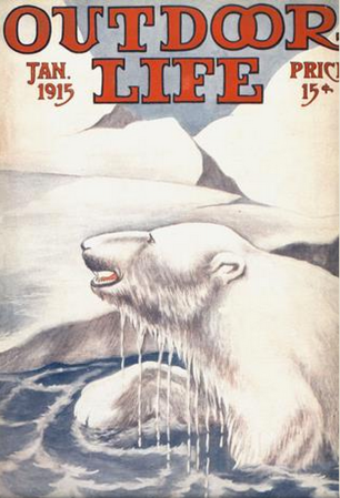 Outdoor Life Archives: January 1915