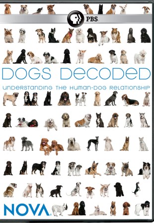 Dogs Decoded Unveils the Genetic Mysteries of Man’s Best Friend