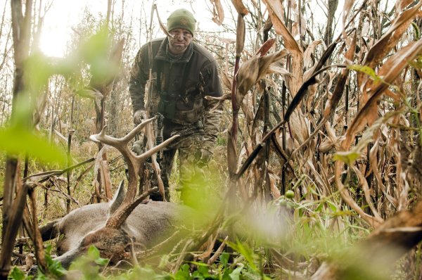What to Do When a Hit Deer Crosses the Property Line