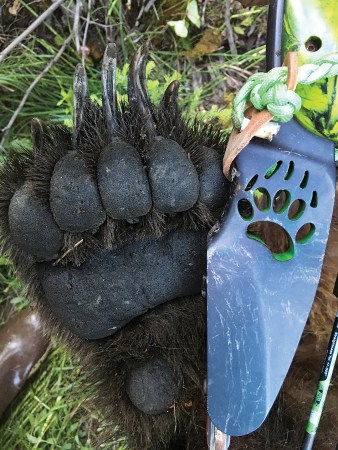 Bowhunting For Grizzlies: Are You Up To The Task?