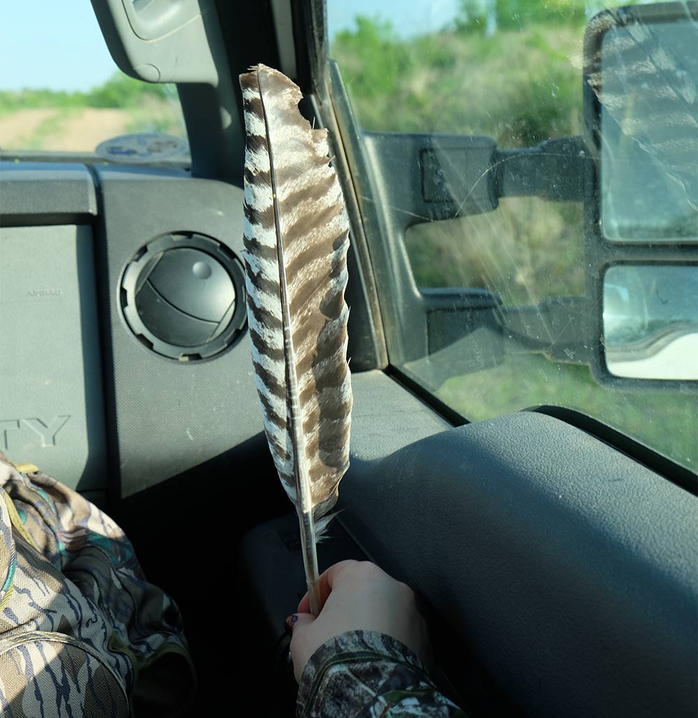 hilary ribons turkey feather