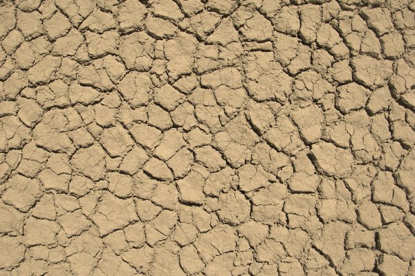 Survival Skills: 5 Myths of Dehydration