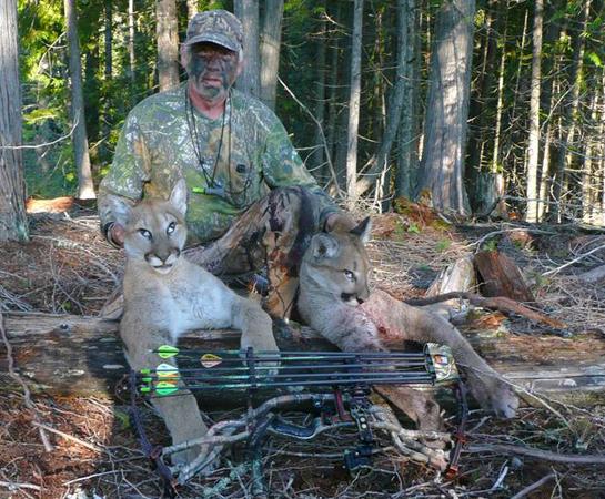 Washington Hunter Kills 2 Mountain Lions With 1 Arrow