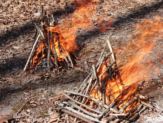 Fire Starting: Teepee vs Log Cabin