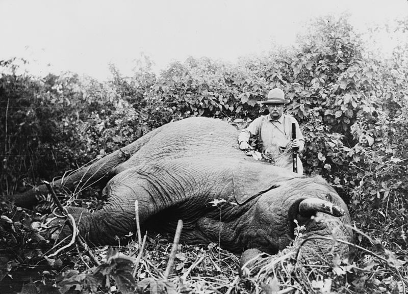 Teddy Roosevelt with an elephant