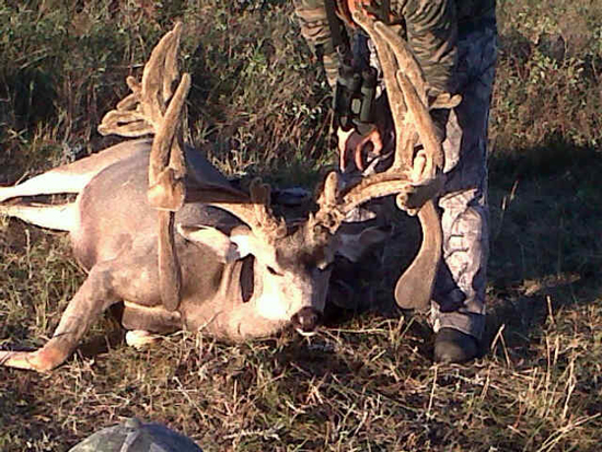 Is This the New World Record Mule Deer?