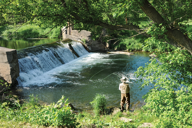 Fly Fishing: 8 Low-Profile Trout Streams with Lots of Fish