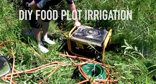 Whitetail Food Plots: The Poor Man’s Irrigation System