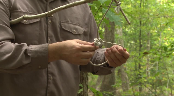 Survival Video: How to Set a Baited Spring Pole Snare Trap