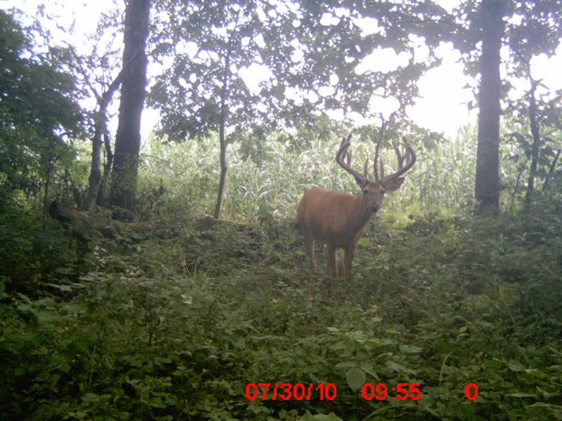 httpswww.outdoorlife.comsitesoutdoorlife.comfilesimport2014importImage2011photo1001321579Trial_Cam_2010.jpg