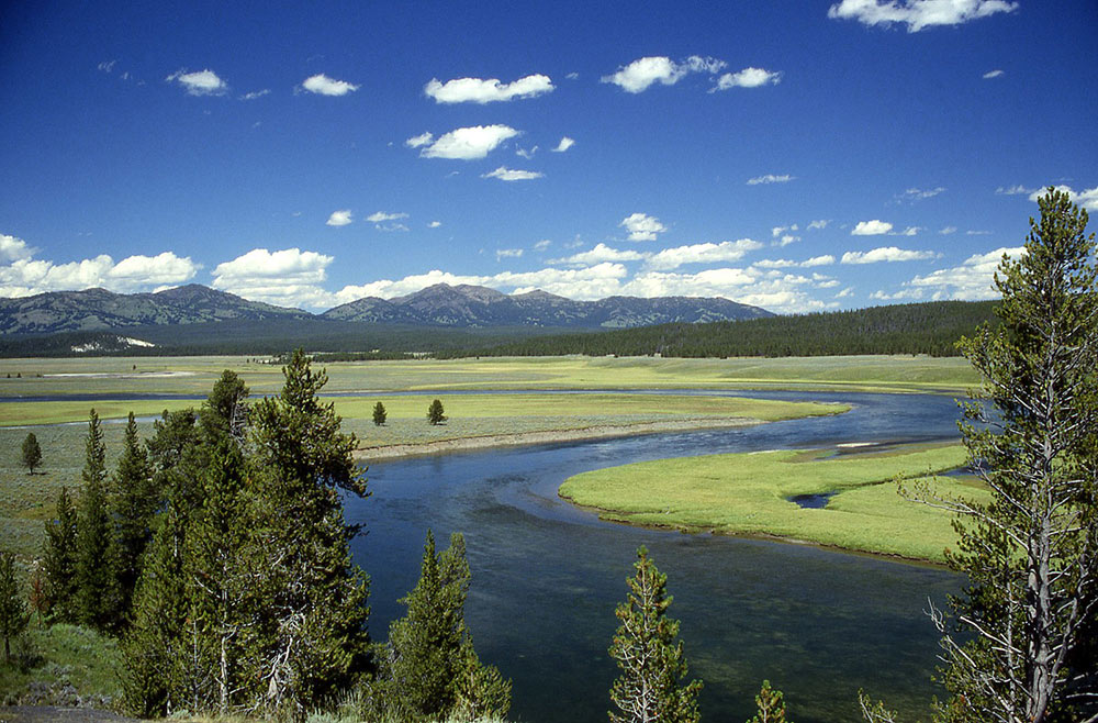 open country of yellowstone national park
