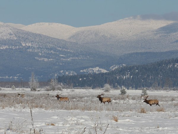 Photos: Hunting National Wildlife Refuges in the Pacific Northwest