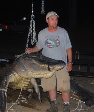 Seven-Man Crew Kills Record 838-Pound Alligator in Alabama