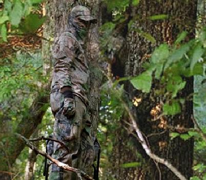 Rethinking the Necessity of Camouflage