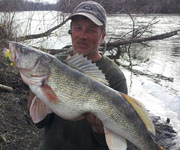 Another Illinois State-Record Walleye Caught on the Pecatonica River