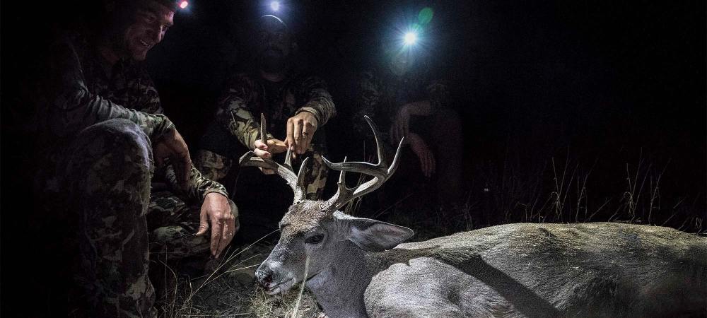 Bucks Beyond the Border: A Coues Deer Hunt in Sonora